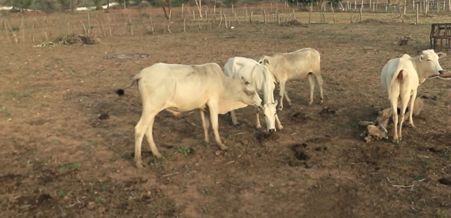 capture-decran-2018-10-01-a-115313